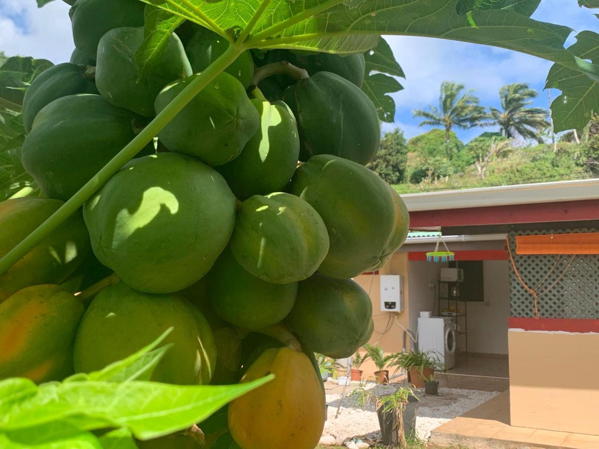 Lemon House Hotel Maroe Exterior foto